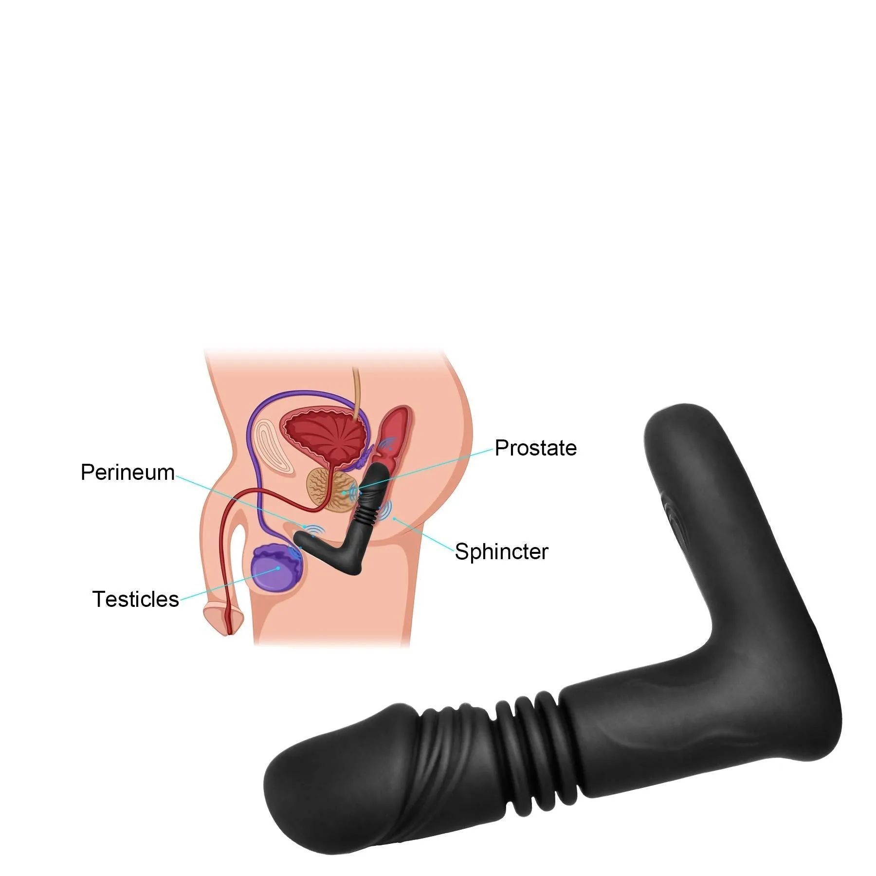 APP Control Thrusting Dildo Vibrator