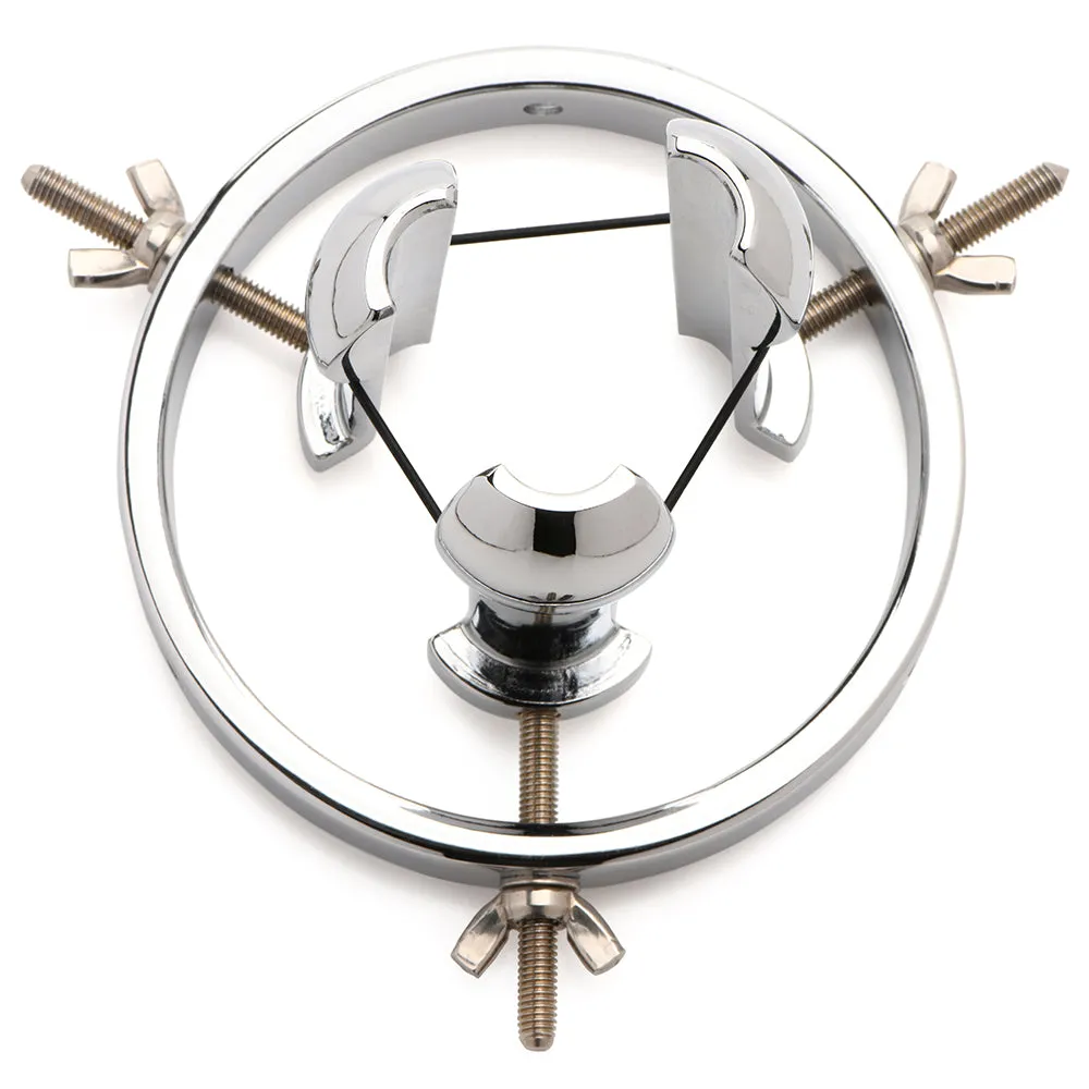 Master Series Forced Spread Stainless Steel Anal Explorer