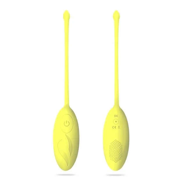 Vibrator egg