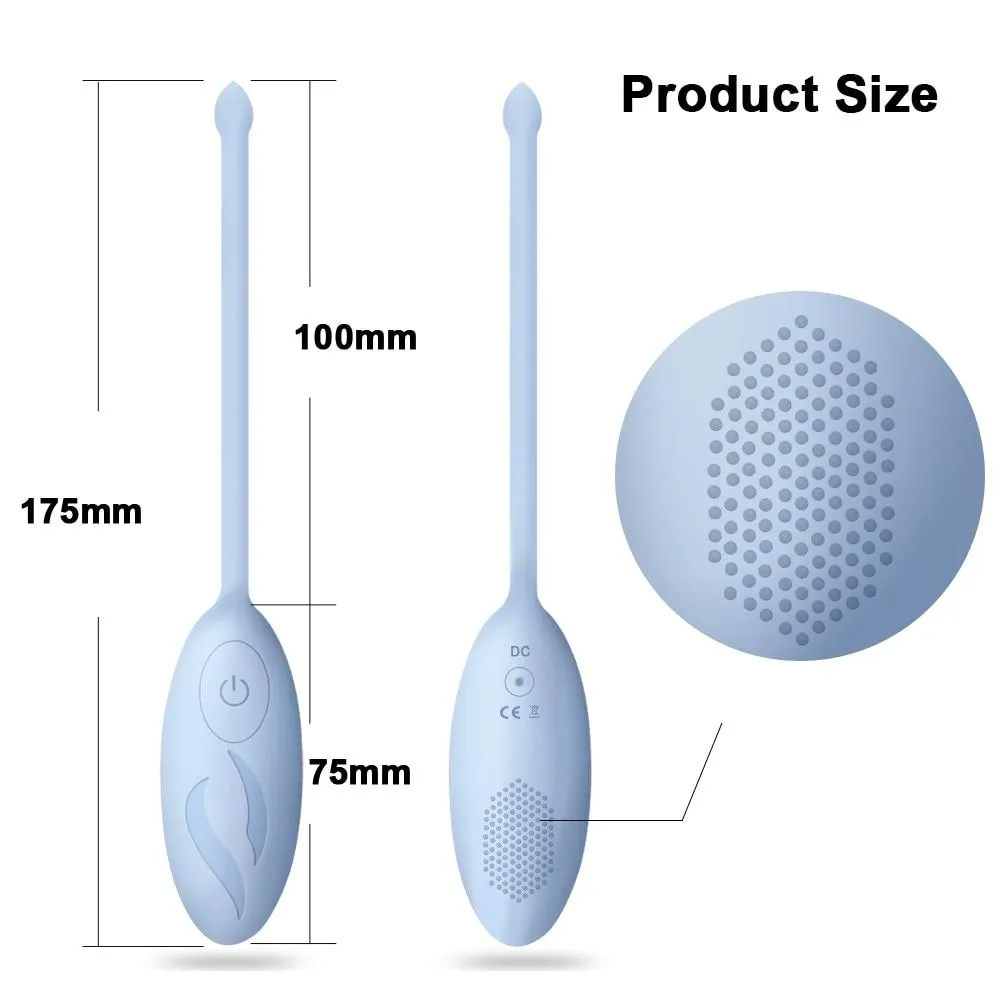 Vibrator egg