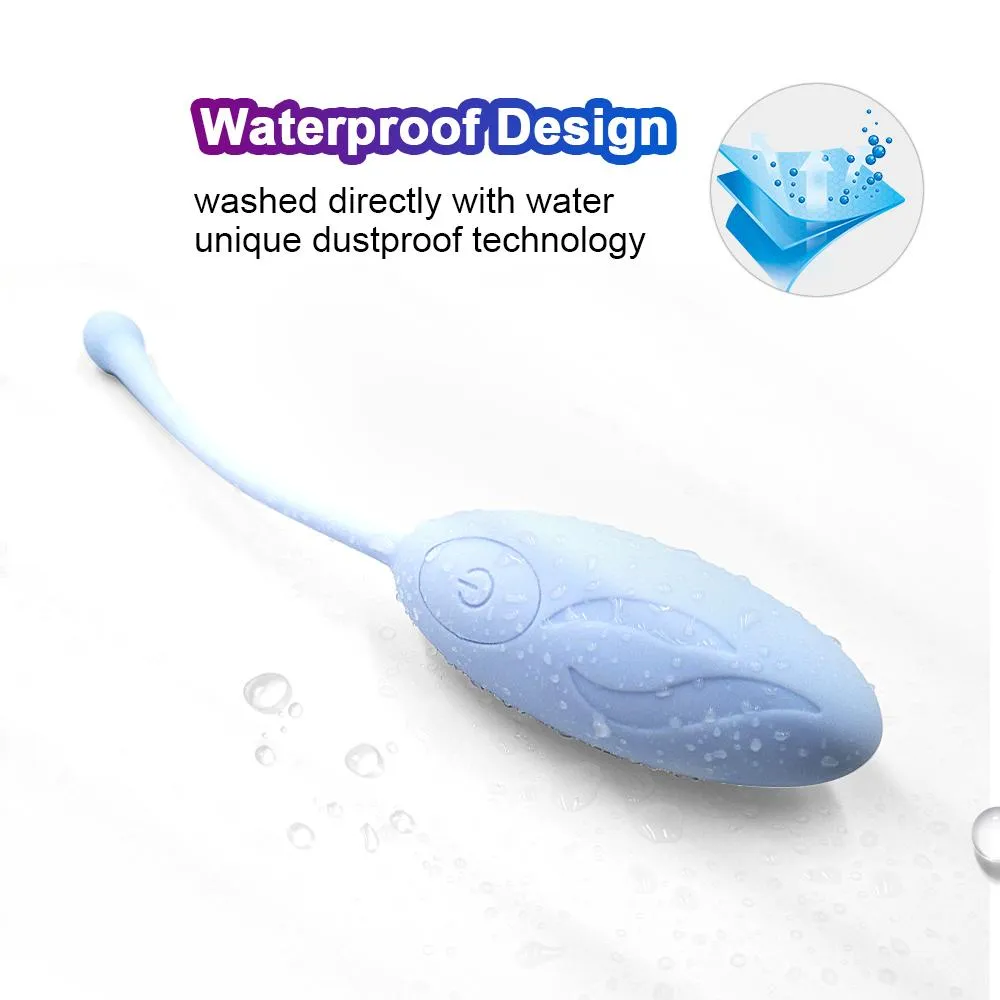 Vibrator egg