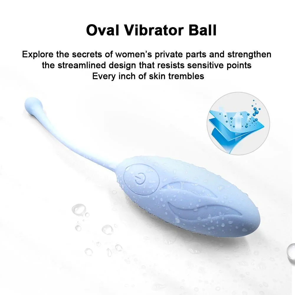 Vibrator egg