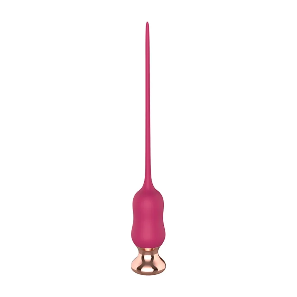 Wireless Urethral Sounding Vibrator Delayed Ejaculation Penis Plug